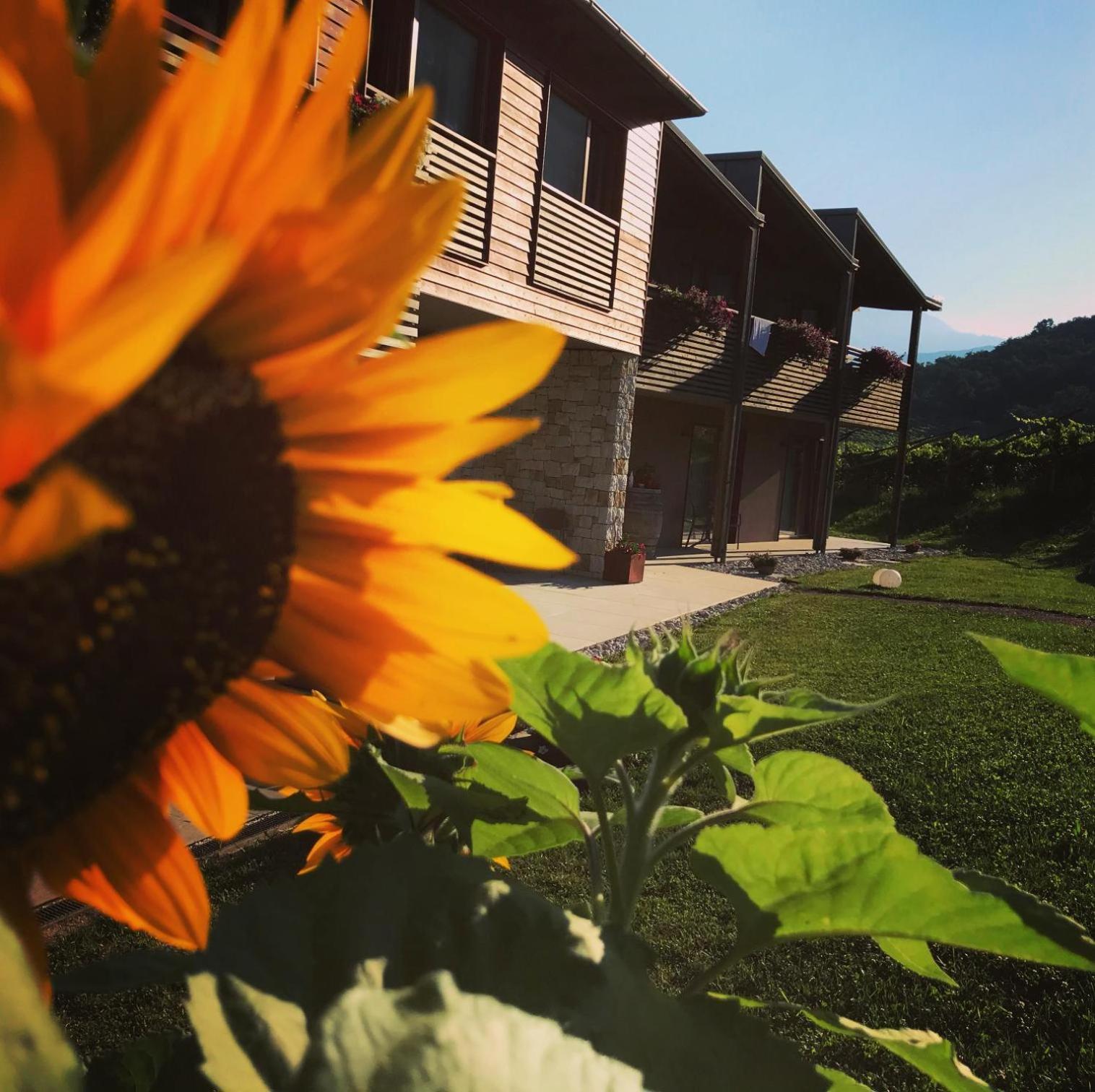 Agritur Verderame Trento Exterior foto